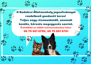 Álláskeresők figyelmébe ajánljuk