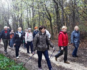 A nordic walking varázsa
