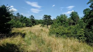 Hegyek között, dombok között... (2. rész)