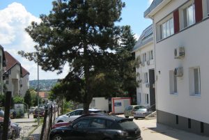 Budaörsön csak egészséges pácienseket tesztelnek