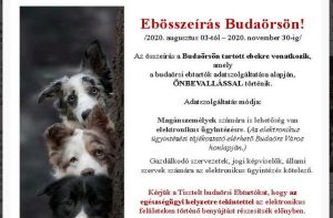 Kötelező bejelenteni kutyánkat november 30-ig!