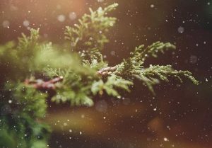 Adventi imádság és gyertyagyújtás a budaörsi televízióban