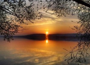 A fiók titka