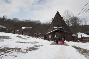 A Budakeszi Vadaspark az erdő kapuja