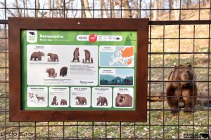Újdonságok a Budakeszi Vadasparkban