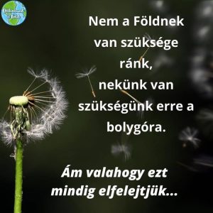 Közös feladataink egy világnap kapcsán