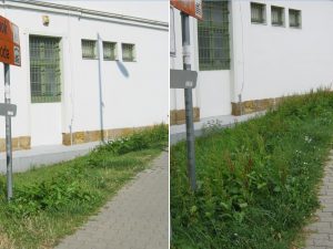 Beérett a gyom