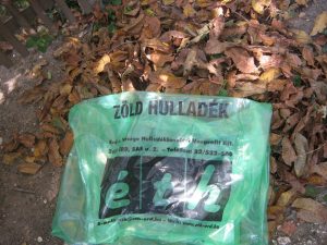 ZÖLDJÁRAT - ZÖLDZSÁK