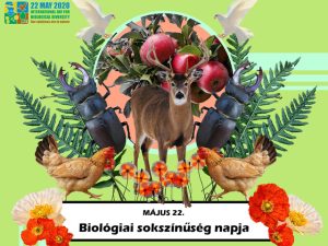 Biodiverzitás? Eszik-e vagy isszák?