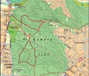 Kamaraerdőben új önkormányzati képviselőt választanak  július 3-án