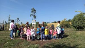 A Pilisi Parkerdő is aktívan részt vesz a városfásításban