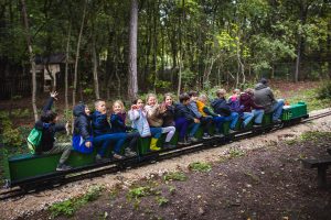 Meghívó a Budakeszi Vadasparkba