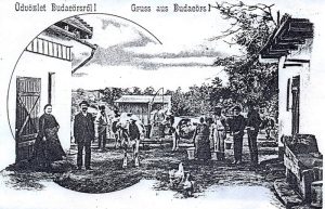 Terménybetakarítás régen