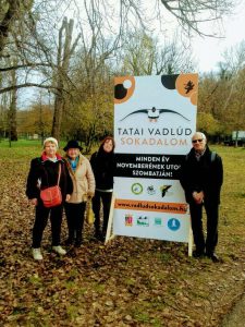 Budaörsi nyugdíjasok a vadlúd sokadalomban, Tatán