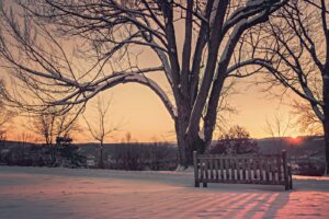Január – Vízöntő hava, Boldogasszony hava