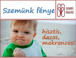 Szemünk fénye