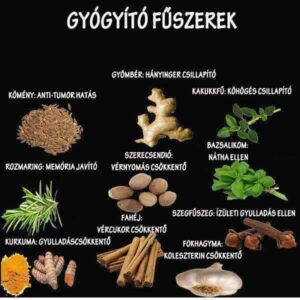 Miért érdemes fűszer– és gyógynövényt termeszteni? 