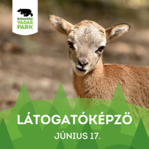 Látogatóképző a Budakeszi Vadasparkban