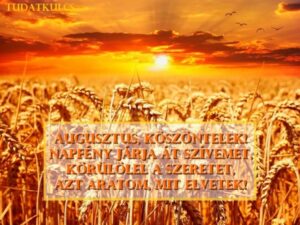 Augusztus- Kisasszony hava, Nyárutó, Új kenyér hava, Szőlőérlelő hó