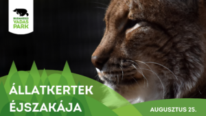 Idén is lesz Állatkertek Éjszakája