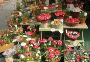 XXII. „VIRÁGOK VETÉLKEDÉSE” Budaörsön