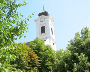 Permetezik a vadgesztenyefákat Budaörsön