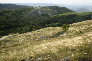A Kopárok élő kincsei