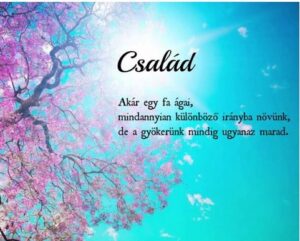 Május 15- a Család Nemzetközi Napja