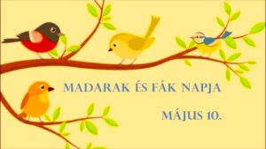 Május 10. - Madarak és Fák Napja