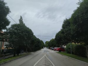 Budaörs legzöldebb utcájában fákat és cserjéket ültetnek?