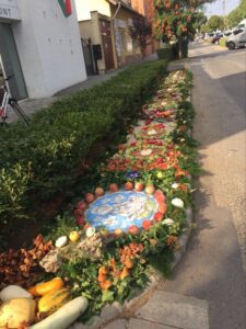 Termésszőnyeg az Idesüss napon