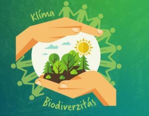 Miért fontos a biodiverzitás megőrzése?
