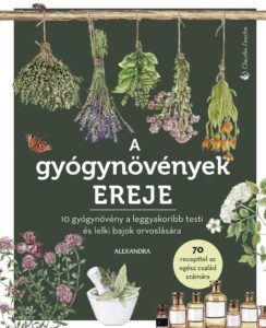 Miért érdemes fűszer– és gyógynövényt termeszteni? 