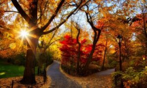 November - Szent András hava, Nyilas hava- Őszutó- Enyészet hava.