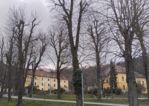 Felhívás tüdőszűrésre 2026 elején