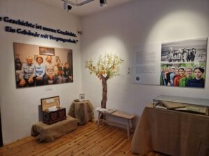 A varázslatos barackmag - könyvajánló