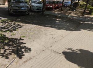 Mikor érkeznek bokrok a Templom térre?