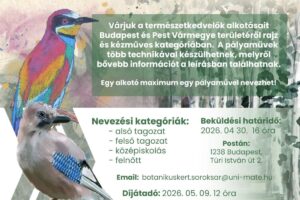 Alkotópályázat nem csak gyerekeknek