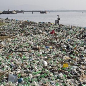 Tényleg megeszünk hetente egy bankkártyányi műanyagot?