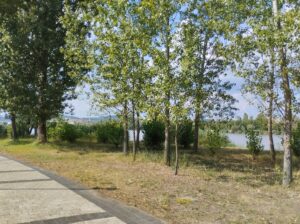 Kitekintő: Törökbálint híres emberei