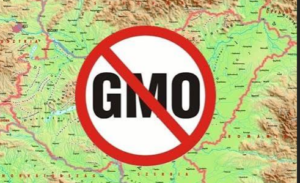 GMO- mentes mezőgazdaságot!