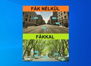 Barátaink a fák